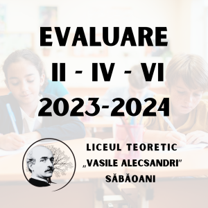 Evaluare II - IV - VI - LTVA Sabaoani