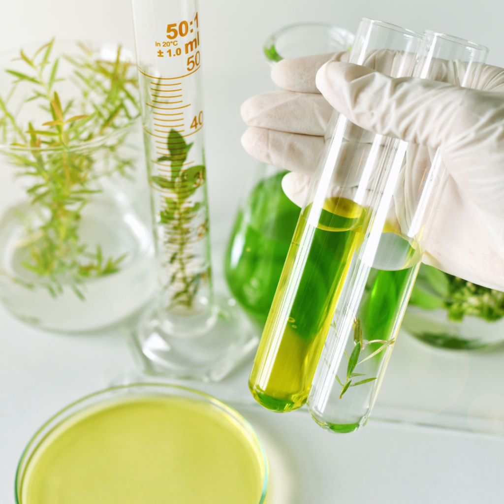 LTVA Sabaoani - Stiinte ale naturii